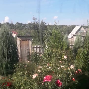 View from the window on September 2