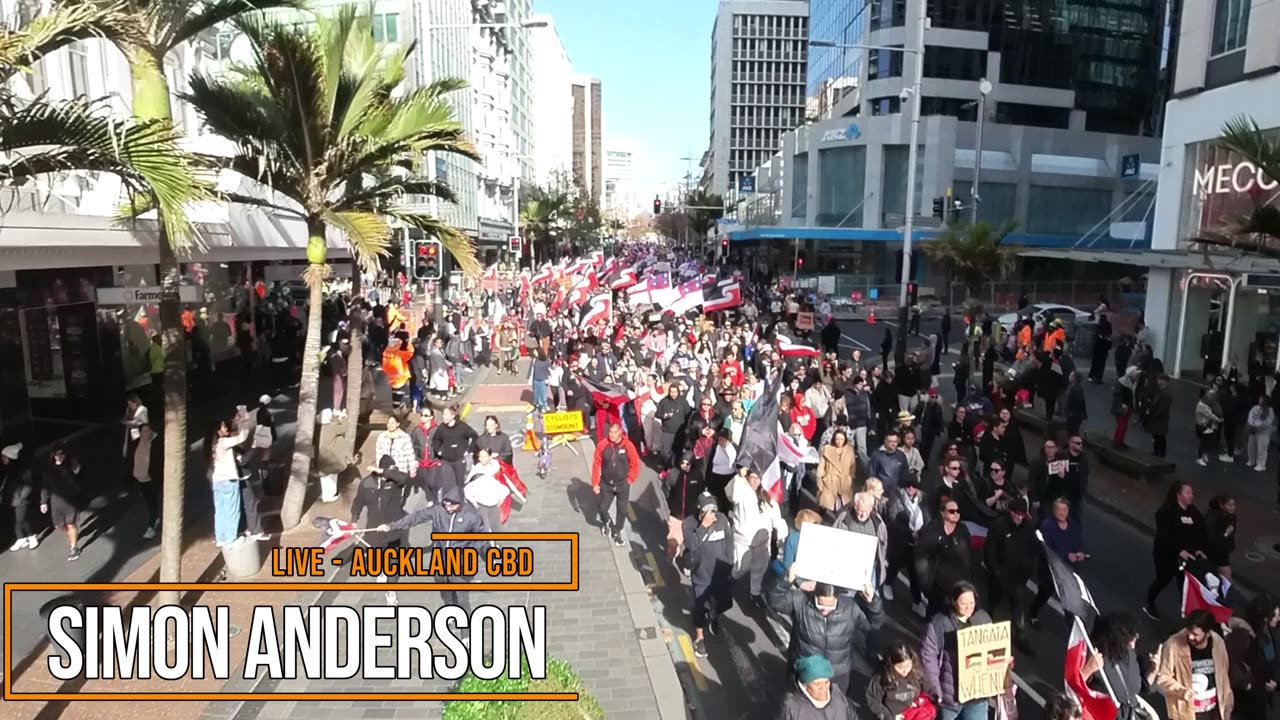 Maori Party Demonstration - Queen Street 20240530