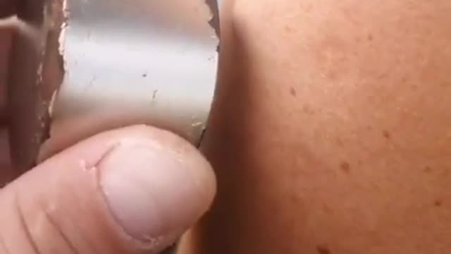 MAGNETIC ATTRACTIONS