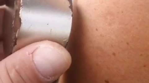 MAGNETIC ATTRACTIONS