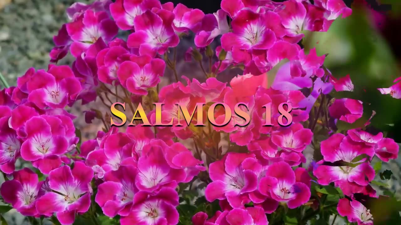 Salmos 18 Reina-Valera 1960 Acción de gracias por la victoria