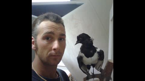 Ayni Nakarat - Nazan Öncel