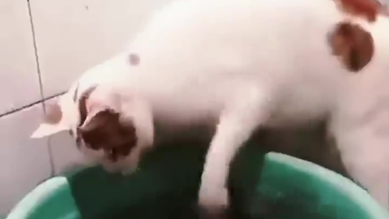 Funny