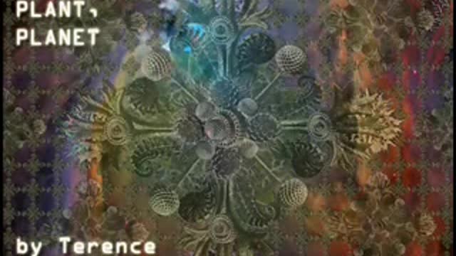 Terence McKenna - Green Anarchism