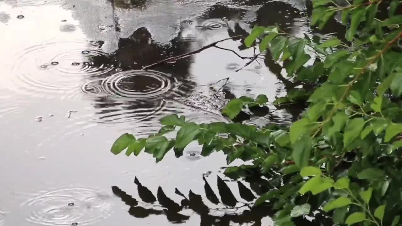 meditation music video। Nature at its best।। Drone shots