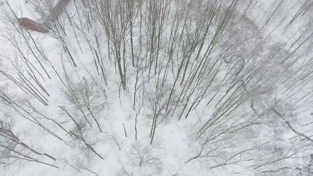 Rebelcopter heads to the Coutts, Alberta border