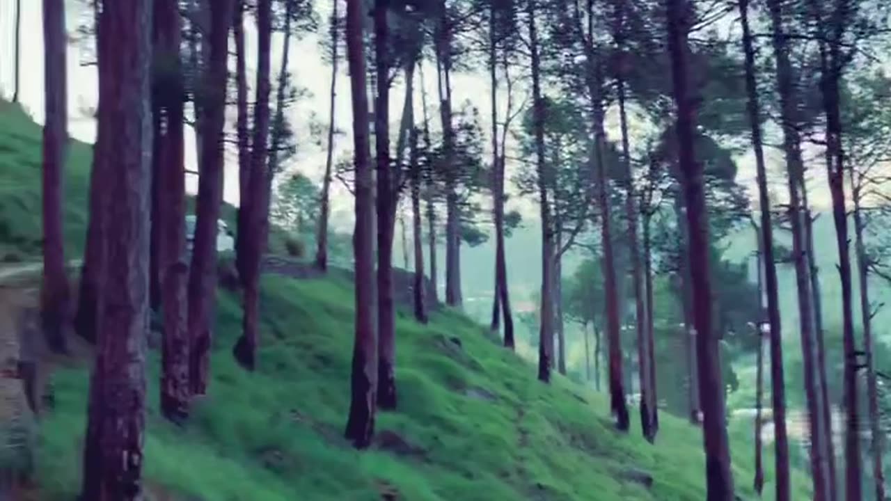 Beauti of pakistan mountin greenly weather cool