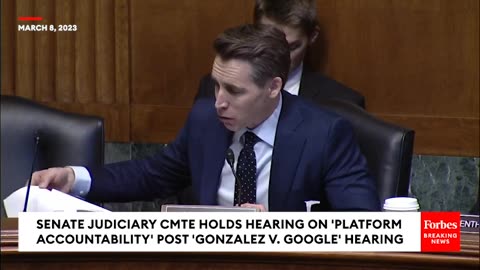 'No Offense To Any Regulators Who Are Watching This But You Know I'm Right'- Josh Hawley
