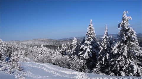 Beautiful Snow Fall