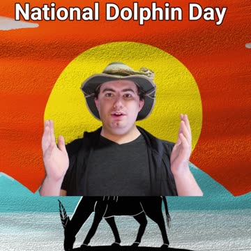 Dolphins Have MORE THAN 1 Stomach!!! | Early Morning Eland 10