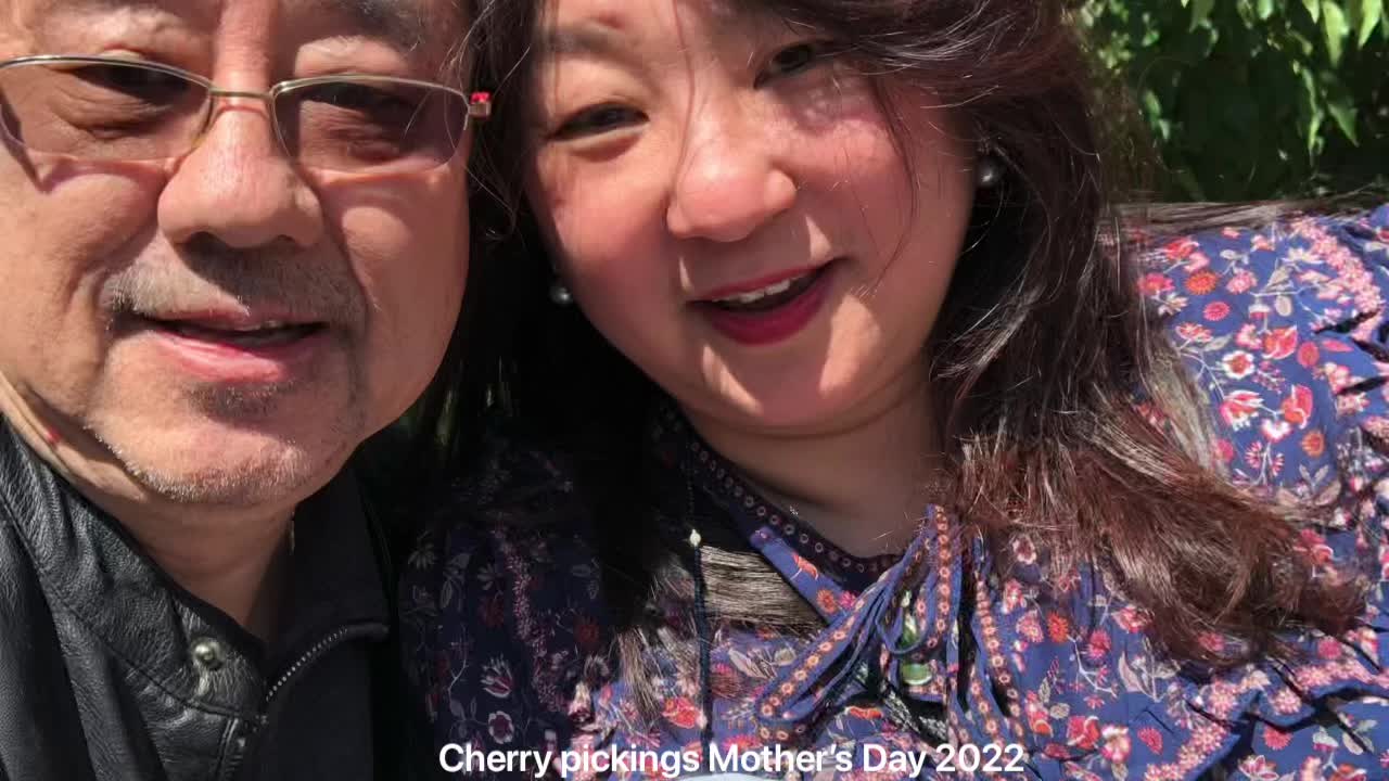 Cherry picking at Walnut Grove California on Mother’s Day 2022