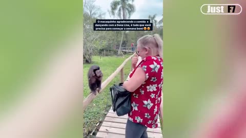 Funny videos