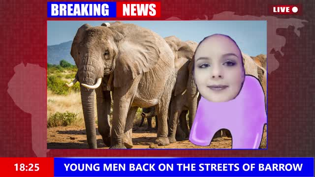 Justice For Ellie - BREAKING NEWS Coming out of Barrow