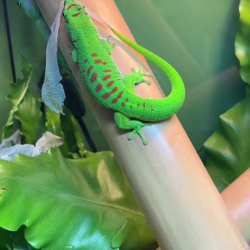 Are you hungry 🤣🤣😱