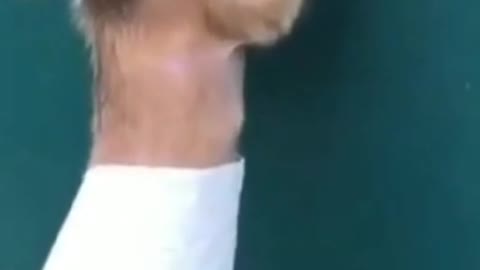 Who is this cutie?