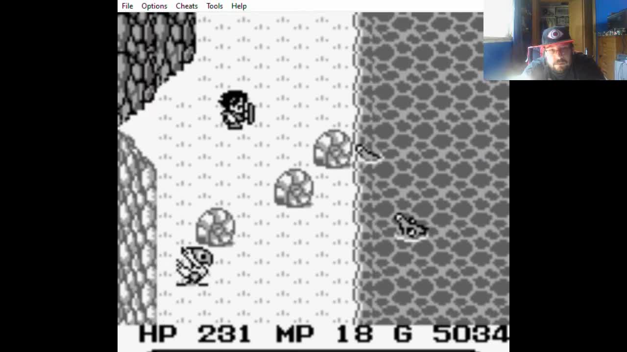 ZuperNEZ Plays Final Fantasy Adventure Part 9