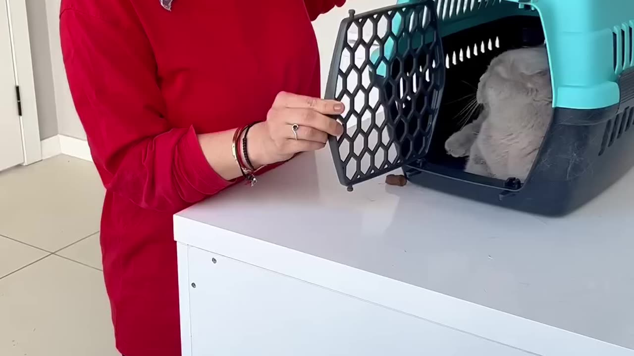 Parçalandık azıcık (1080p) short video