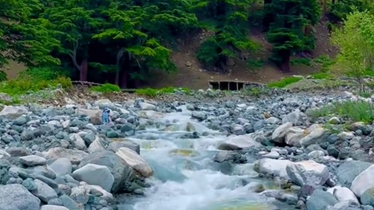 beauty of nature88