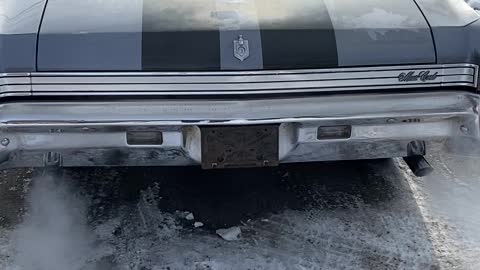 1st Generation Monte