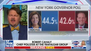 Pollsters Tell Sean Hannity They See GOP Winning Every Battleground Senate Race