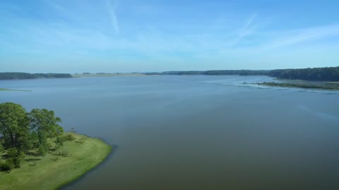 # Nature # Nature video# Beauty of nature#