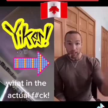 Ingredients in the Covid 19 Vaccine