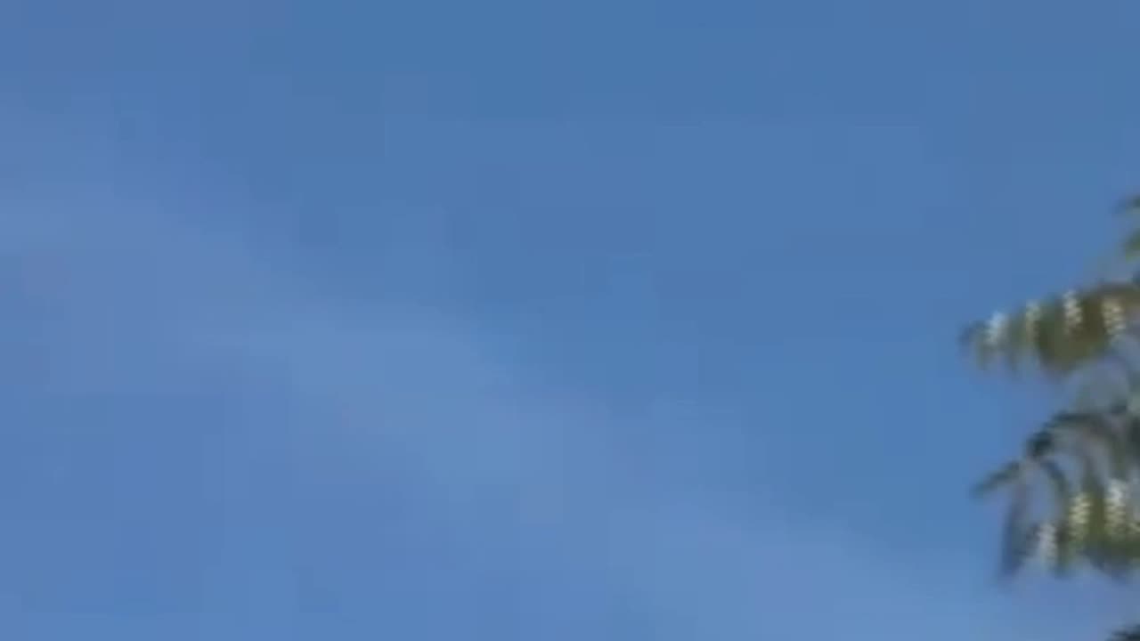 Vid of butterfly migration through Arizona on the way to California see the shape and flapping