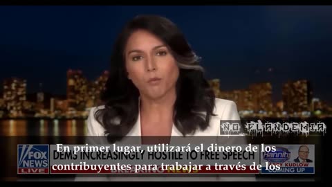 Tulsi Gabbard, Analiza la creación de la “Junta de Gobernanza de la Desinformación”