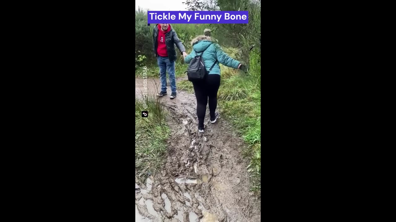 Funny Videos