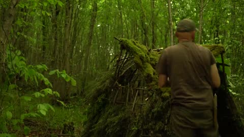 Building a survival shelter in forest camp food from natural herbs