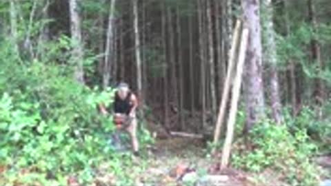 4 YEARS ALONE & OFF GRID in the CANADIAN WILDERNESS | SELF BUILT GARDEN, YURT, & PREPPING
