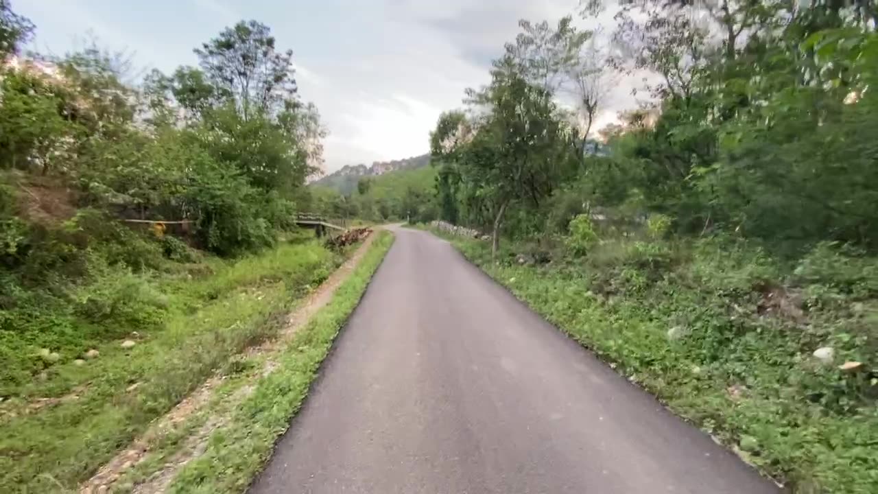 Nature vibes