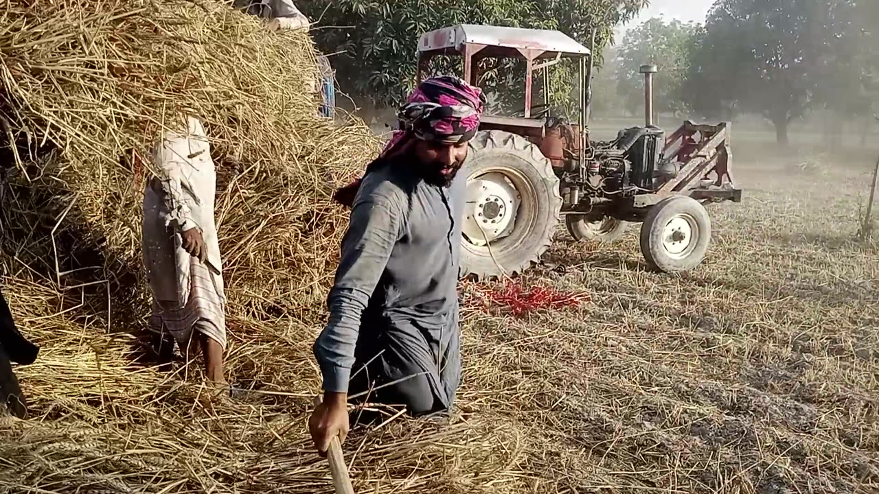 تھریشر ثریکٹر