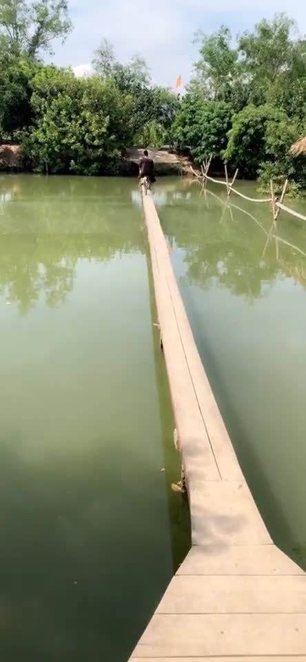 to fall or not to fall? always over the top.