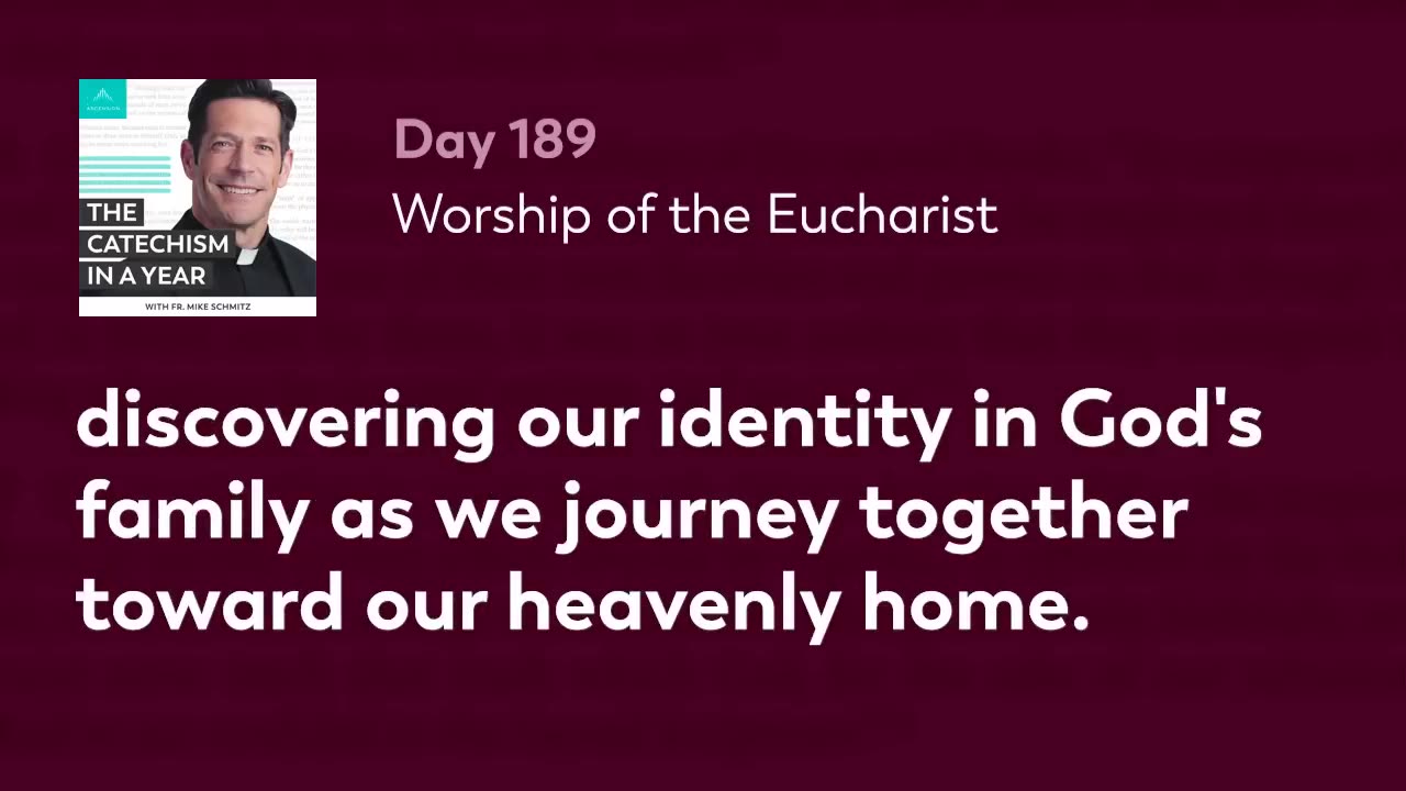 Day 189: Worship of the Eucharist — The Catechism in a Year (with Fr. Mike Schmitz)