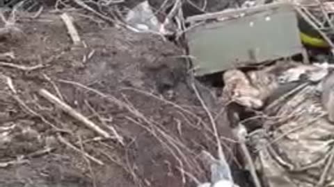 More dead ukraine soldiers