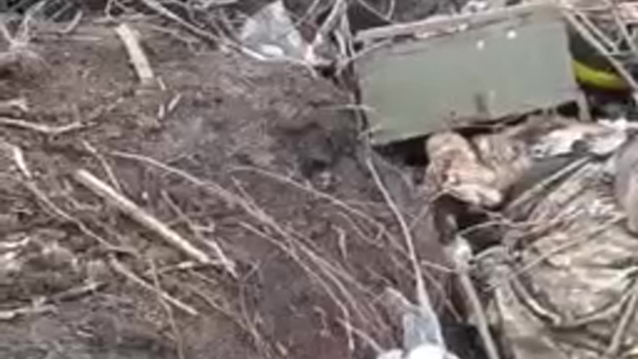 More dead ukraine soldiers