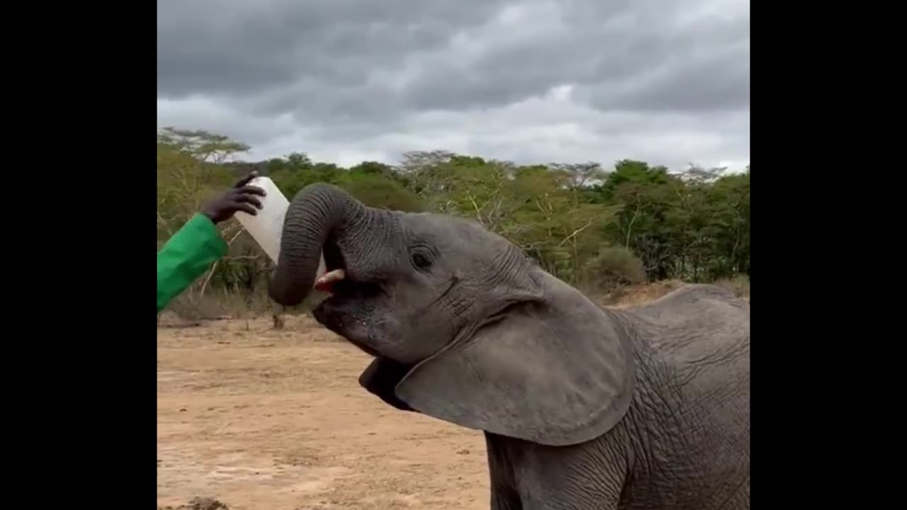So sweet and smart.