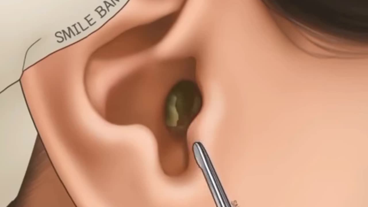 Asmr Animation