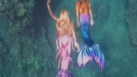 Real mermaid