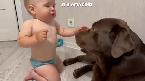 Baby Takes His First Steps Straight To His Dog | The Dodo