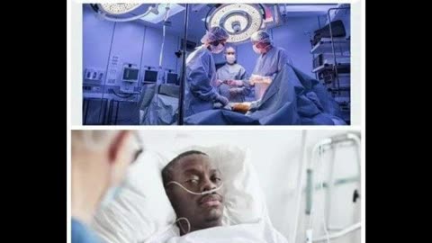 Random Memes 508