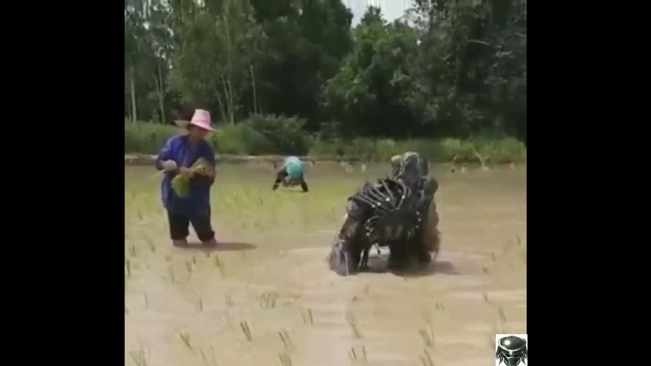 PREDATOR👀IN😎CHINA💥🔥💥EDITED👀BY💥@7THSN1PER😎
