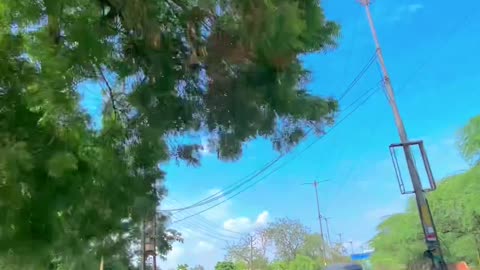 Nature Video and relaxing Sound