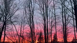 Saturday Sunset In The Woods