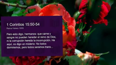 ¿ SABES DONDE IRAS CUANDO MUERAS? - Devocional.