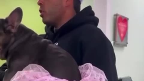 This vet and the clinic are transphobic!😁