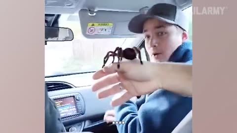Is This Spider Poisonous? Fails Of The Week