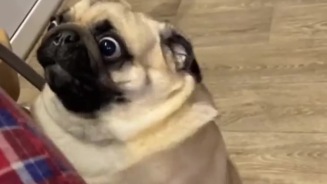 😄