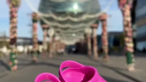 Shoes for Cat | Cat video | #cat #funnycat | Funny Cat video